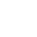 LIVRARE RAPIDA DIN STOC